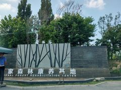 -林栖谷森林康养度假区