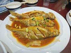 -日月昇渔家菜·海肠捞饭·大连海鲜(星海公园店)