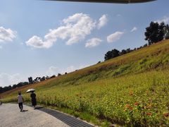 -长春世界雕塑园冰雪艺术天地