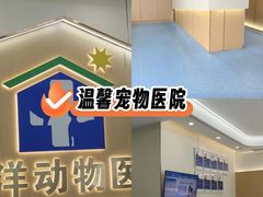 -泰洋动物医院·神经专科·磁共振·CT(天河公园总院)