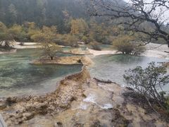 -黄龙山原始森林景区