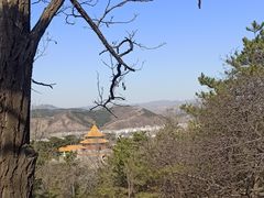 -磬锤峰森林公园