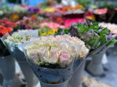-双季花艺园艺市场(浦东店)
