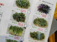 -一煲鸽