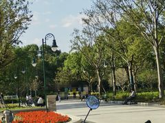-新江湾城公园