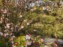 -大兴滨河森林公园