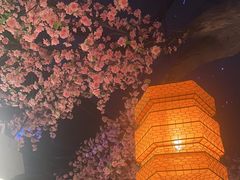 -荷塘秋月·本帮江浙菜(国权路店)