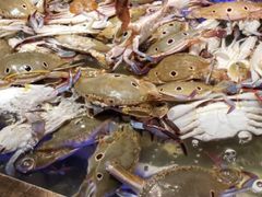 -诱货海鲜自助火锅(爱琴海购物公园东百店)