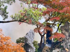 -上海醉白池公园
