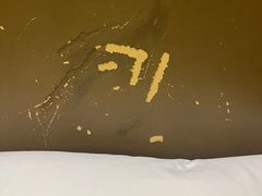 -廊坊固安福朋喜来登酒店