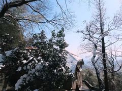 -莫干山风景区