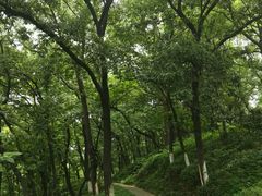 -民间老鸡汤面馆(中山北路店)