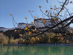 -宗角禄康公园