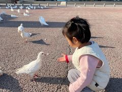 -泉城欧乐堡海洋极地世界