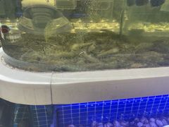 -大众海鲜(巨龙北路店)