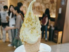 -野人先生现做冰淇淋(西安赛格店)