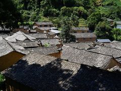 -杨家堂村