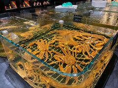 -张生记(双菱店)