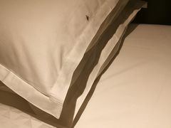 -青岛西海岸隆和福朋喜来登酒店