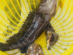 -鑫鸿达·海鲜闽菜热炒小馆(中山路店)