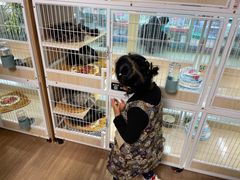 -三旗百汇商品城