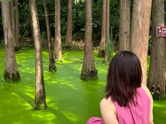 -云龙湖旅游景区