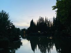 -桃花岛公园