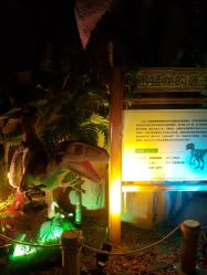 -恐龙探索乐园(磁器口店)