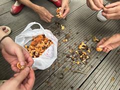 -重庆云阳龙缸景区