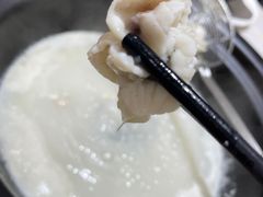 -港升鱼师傅·中山脆肉鲩