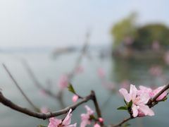 -钱王祠