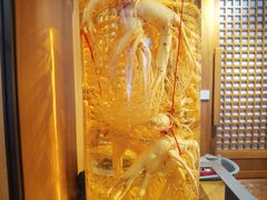 -长寿参鸡汤(朝韩风情街店)