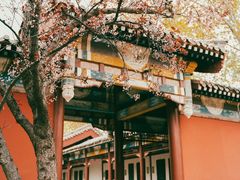 -禹城市禹王亭博物馆