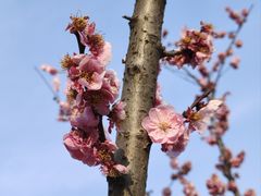 -天鹅湖体育公园