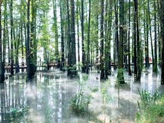 -东湖落雁景区
