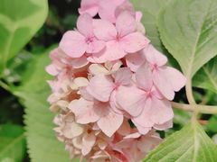 -上海交通大学董浩云航运博物馆