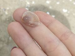 -姥姥家大缸烧烤(台东店)
