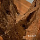 没有什么比面包更治愈了。