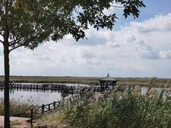 -南大港湿地风景区