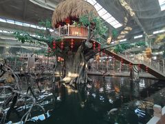 -南宫五洲植物乐园