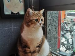 -咖法森林·咖啡  酒吧(天河店)