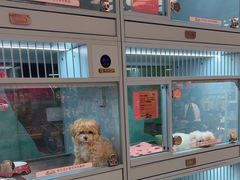-FAELING PETS美天灵宠物(合生汇店)