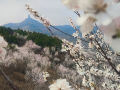 -定都峰