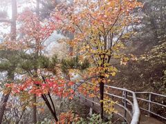 -明堂山风景区