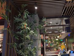 -老头儿油爆虾(星光一期店)