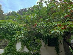 -老张烤羊(王哥庄店)