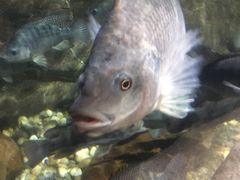 景点-郑州海洋馆