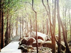 -火炉山森林公园
