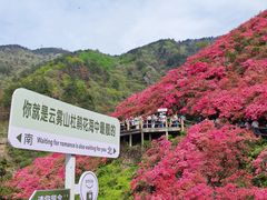 -木兰云雾山