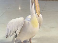 -绿色星球动物主题公园